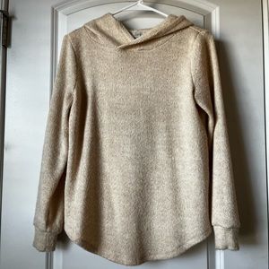 LOFT hoodie sweater
